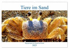 Tiere im Sand - Begegnungen am Strand auf Kuba (Wandkalender 2025 DIN A2 quer), CALVENDO Monatskalender