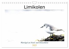 Limikolen - Watvögel an Nord- und Ostseeküste (Wandkalender 2025 DIN A4 quer), CALVENDO Monatskalender