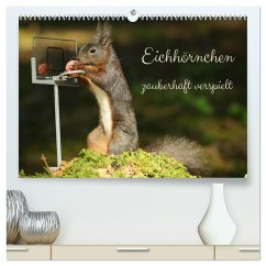 Eichhörnchen - zauberhaft verspielt (hochwertiger Premium Wandkalender 2025 DIN A2 quer), Kunstdruck in Hochglanz - Calvendo;Merk, Angela