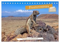 Fuerteventura - Faszination einer Wüsteninsel (Tischkalender 2025 DIN A5 quer), CALVENDO Monatskalender