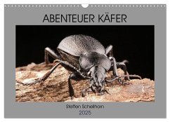 ABENTEUER KÄFER (Wandkalender 2025 DIN A3 quer), CALVENDO Monatskalender - Calvendo;Schellhorn, Steffen