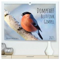 Dompfaff, Blutfink, Gimpel (hochwertiger Premium Wandkalender 2025 DIN A2 quer), Kunstdruck in Hochglanz