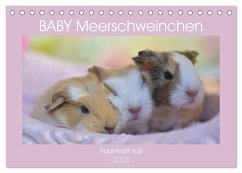 BABY Meerschweinchen Traumhaft süß (Tischkalender 2025 DIN A5 quer), CALVENDO Monatskalender