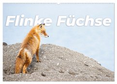 Flinke Füchse (Wandkalender 2025 DIN A2 quer), CALVENDO Monatskalender