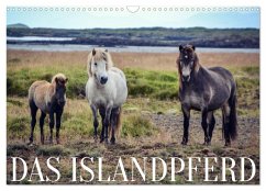 Das Islandpferd (Wandkalender 2025 DIN A3 quer), CALVENDO Monatskalender - Calvendo;Krämer, Hannah
