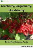 Cranberry, Lingonberry and Huckleberry: Berries from Ericaceae Family (eBook, ePUB)