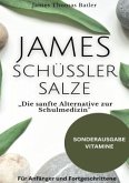 JAMES SCHÜSSLER SALZE &quote;Die sanfte Alternative zur Schulmedizin&quote;Schüssler Salze Buch Einsteiger-Fortgeschrittene - SONDER