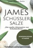 JAMES SCHÜSSLER SALZE "Die sanfte Alternative zur Schulmedizin"Schüssler Salze Buch Einsteiger-Fortgeschrittene - SONDER