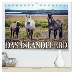 Das Islandpferd (hochwertiger Premium Wandkalender 2025 DIN A2 quer), Kunstdruck in Hochglanz