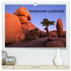 Versteinerte Landschaft (hochwertiger Premium Wandkalender 2025 DIN A2 quer), Kunstdruck in Hochglanz