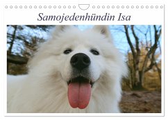 Samojedenhündin Isa (Wandkalender 2025 DIN A4 quer), CALVENDO Monatskalender - Calvendo;Valentino, Bo