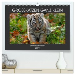 GROSSKATZEN GANZ KLEIN (hochwertiger Premium Wandkalender 2025 DIN A2 quer), Kunstdruck in Hochglanz - Calvendo;Schellhorn, Steffen