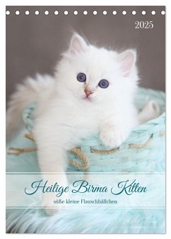 Heilige Birma Kitten - süße kleine Flauschbällchen (Tischkalender 2025 DIN A5 hoch), CALVENDO Monatskalender