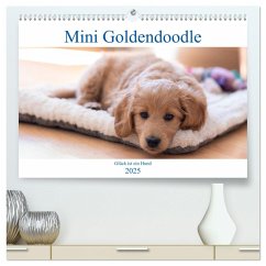 Mini Goldendoodle - Glück ist ein Hund (hochwertiger Premium Wandkalender 2025 DIN A2 quer), Kunstdruck in Hochglanz - Calvendo;Schulz, Stephan