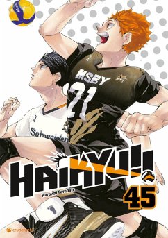 Cover Haikyu!! - Band 45 (Finale)