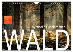 Wald - mystische Spaziergänge (Wandkalender 2025 DIN A4 quer), CALVENDO Monatskalender - Calvendo;Roder, Peter