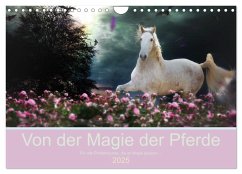 Von der Magie der Pferde (Wandkalender 2025 DIN A4 quer), CALVENDO Monatskalender - Calvendo;Eckerl Tierfotografie, Petra