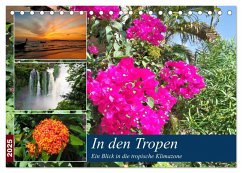 In den Tropen - Ein Blick in die tropische Klimazone (Tischkalender 2025 DIN A5 quer), CALVENDO Monatskalender