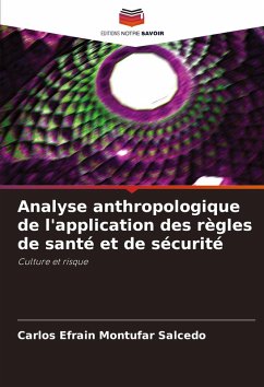 Analyse anthropologique de l'application des règles de santé et de sécurité - Montúfar Salcedo, Carlos Efrain