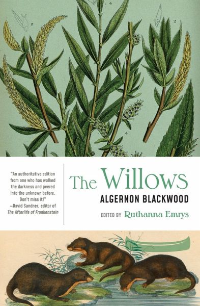 The Willows (eBook, ePUB)