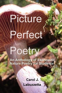 Picture Perfect Poetry - Labuzzetta, Carol J.