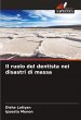Il ruolo del dentista nei disastri di... - Bild 1