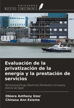 Cover Evaluación de la privatización de la energía y la prestación de servicios