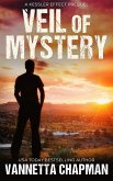 Veil of Mystery (Kessler Effect, #1) (eBook, ePUB) Veil of Mystery (Kessler Effect, #1) (eBook, ePUB)