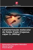 Caracterização molecular do feijão-frade [Cajanus cajan (L.)Millsp&quote;
