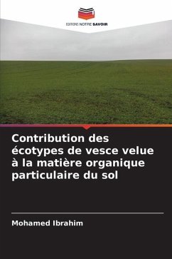 Contribution des écotypes de vesce velue à la matière organique particulaire du sol - Ibrahim, Mohamed