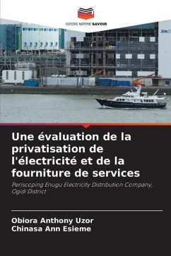 Une évaluation de la privatisation de l'électricité et de la fourniture de services - Uzor, Obiora Anthony;Esieme, Chinasa Ann