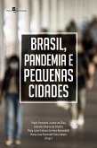 Brasil, pandemia e pequenas cidades (eBook, ePUB)