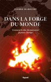 Dans la forge du Monde (eBook, ePUB)