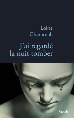 Cover J'ai regardé la nuit tomber (eBook, ePUB)