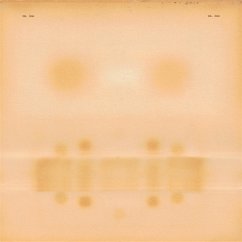 Cover Dr. Dog