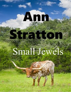 Small Jewels (eBook, ePUB) - Stratton, Ann