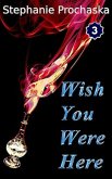 Wish You Were Here (Nobody Likes Megan McGowen, #3) (eBook, ePUB)