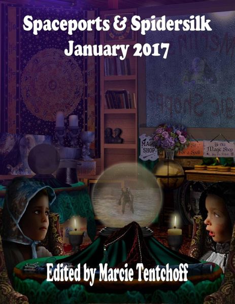 Spaceports & Spidersilk January 2017 (eBook, ePUB) Spaceports & Spidersilk January 2017 (eBook, ePUB)