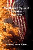 The Divided States of America: Stories 9-12 (eBook, ePUB)