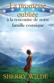 La promesse oubliée (eBook, ePUB)