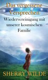 Das vergessene Versprechen (eBook, ePUB)