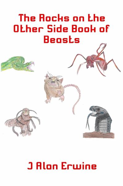 The Rocks on the Other Side Book of Beasts (eBook, ePUB)