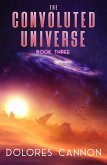 The Convoluted Universe Book 3 (eBook, ePUB)