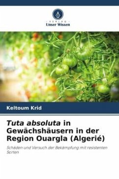 Tuta absoluta in Gewächshäusern in der Region Ouargla (Algerié) - Krid, Keltoum