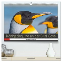 Königspinguine an der Bluff Cove (hochwertiger Premium Wandkalender 2025 DIN A2 quer), Kunstdruck in Hochglanz - Calvendo;W. Saul, Norbert