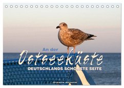 An der Ostseeküste - Deutschlands schönste Seite (Tischkalender 2025 DIN A5 quer), CALVENDO Monatskalender - Calvendo;Haafke, Udo