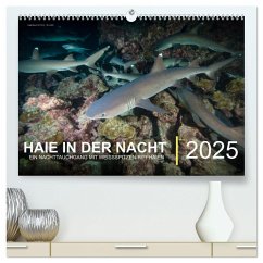 Haie in der Nacht (hochwertiger Premium Wandkalender 2025 DIN A2 quer), Kunstdruck in Hochglanz