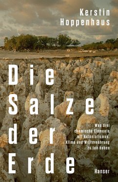 Die Salze der Erde (eBook, ePUB) - Hoppenhaus, Kerstin