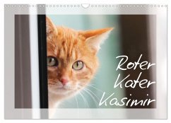 Roter Kater Kasimir (Wandkalender 2025 DIN A3 quer), CALVENDO Monatskalender - Calvendo;Löwer, Sabine