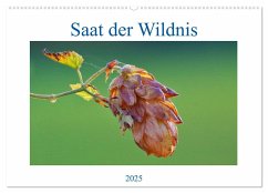 Saat der Wildnis (Wandkalender 2025 DIN A2 quer), CALVENDO Monatskalender